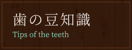 歯の豆知識